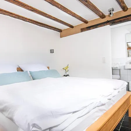Alte Uhrmacherei Appartement *